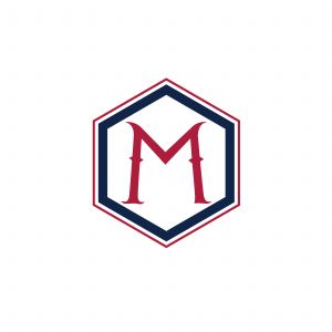 T Letter colorful logo in the hexagonal. Polygonal letter T	