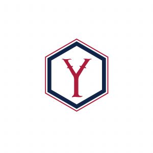 Y Letter colorful logo in the hexagonal. Polygonal letter Y	