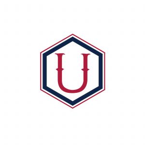 U Letter colorful logo in the hexagonal. Polygonal letter U	