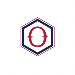 O Letter colorful logo in the hexagonal. Polygonal letter O