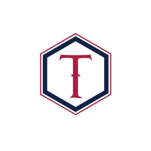 T Letter colorful logo in the hexagonal. Polygonal letter T	