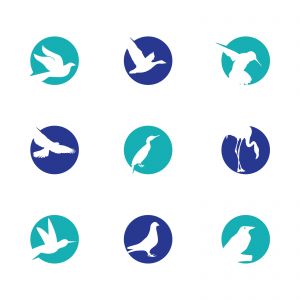 birds vector logo design, green, circle, hummingbird, flying bird, friendly, wildlife illustration	