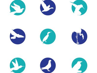 birds vector logo design, green, circle, hummingbird, flying bird, friendly, wildlife illustration	