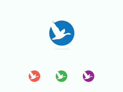 colorful pigeon vector logo design, circle, peace, friendly illustration