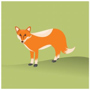 Fox vector illustration cute cartoon with green background.