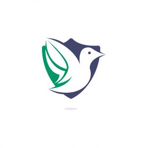 Bird vector logo design. Creative bird vector logo design template.	