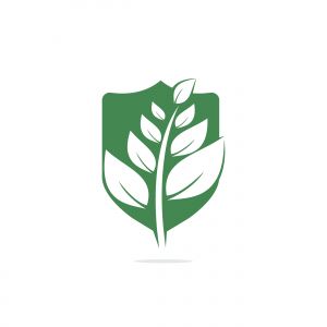 Nature logo design. Green tropical leaves icon. Tree foliage logotype template.	