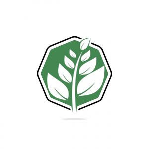 Nature logo design. Green tropical leaves icon. Tree foliage logotype template.	