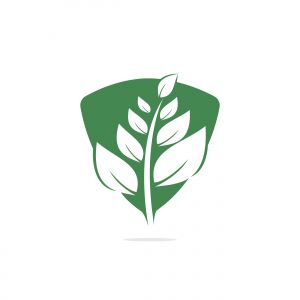 Nature logo design. Green tropical leaves icon. Tree foliage logotype template.	