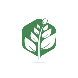 Nature logo design. Green tropical leaves icon. Tree foliage logotype template.	