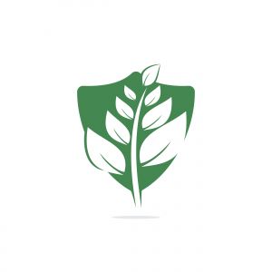 Nature logo design. Green tropical leaves icon. Tree foliage logotype template.	