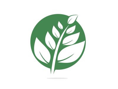 Nature logo design. Green tropical leaves icon. Tree foliage logotype template.	