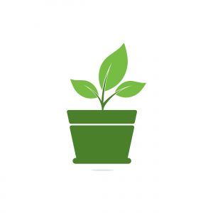 Flower pot and plant logo. Growth vector logo.	