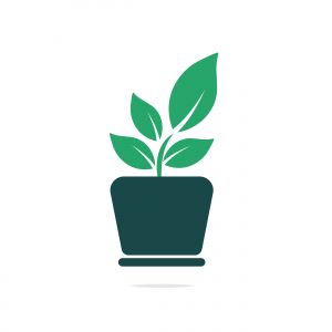 Flower pot and plant logo. Growth vector logo.	