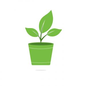 Flower pot and plant logo. Growth vector logo.	