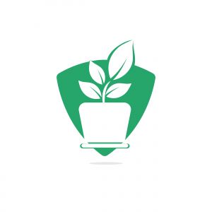 Flower pot and plant logo. Growth vector logo.	