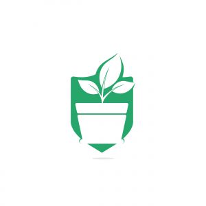 Flower pot and plant logo. Growth vector logo.	