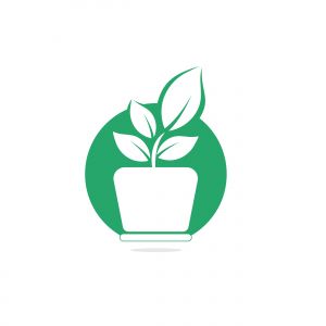Flower pot and plant logo. Growth vector logo.	