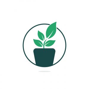 Flower pot and plant logo. Growth vector logo.	