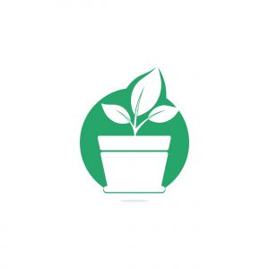Flower pot and plant logo. Growth vector logo.	