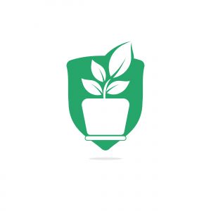 Flower pot and plant logo. Growth vector logo.	