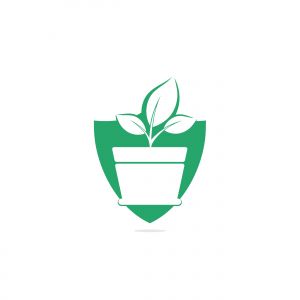 Flower pot and plant logo. Growth vector logo.	