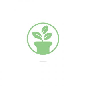 Flower pot and plant logo. Growth vector logo.	
