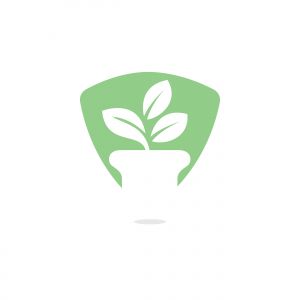 Flower pot and plant logo. Growth vector logo.	