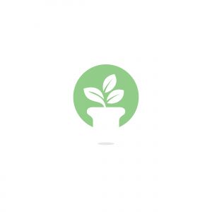 Flower pot and plant logo. Growth vector logo.	