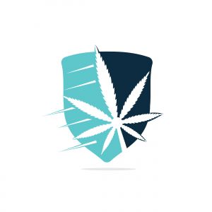 Cannabis leaf vector logo design. Marijuana leaf logo design template vector illustration.