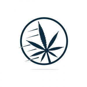 Cannabis leaf vector logo design. Marijuana leaf logo design template vector illustration.