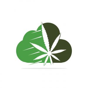 Cloud Medical cannabis marijuana vector logo design. Marijuana medical logo concept.
