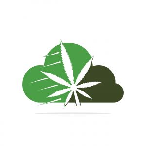 Cloud Medical cannabis marijuana vector logo design. Marijuana medical logo concept.