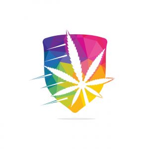 Cannabis leaf vector logo design. Marijuana leaf logo design template vector illustration.