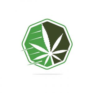  Cannabis leaf vector logo design. Marijuana leaf logo design template vector illustration.