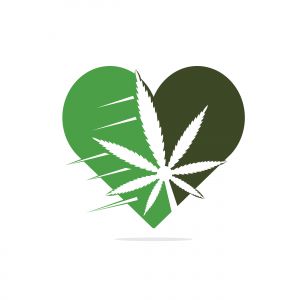  Love Cannabis leaf vector logo design. Marijuana leaf and heart logo design template vector illustration.