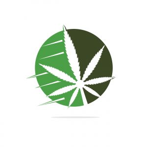 Cannabis leaf vector logo design. Marijuana leaf logo design template vector illustration.