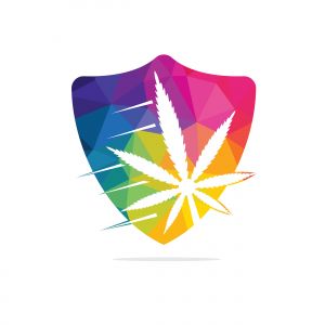 Cannabis leaf vector logo design. Marijuana leaf logo design template vector illustration.