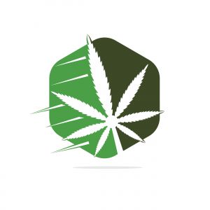  Cannabis leaf vector logo design. Marijuana leaf logo design template vector illustration.