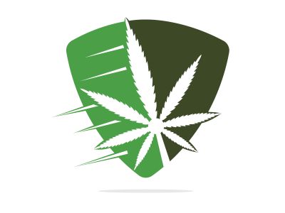  Cannabis leaf vector logo design. Marijuana leaf logo design template vector illustration.